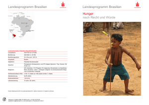 Landesprogramm Brasilien Landesprogramm