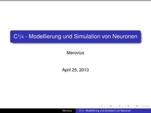C1/4 - Modellierung und Simulation von Neuronen