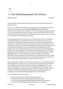 Das Reizleitungssystem des Herzens