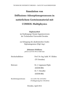 Simulation von Diffusions-Adsorptionsprozessen in