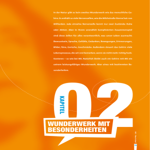 wundErwErK Mit bESondErhEitEn - MS