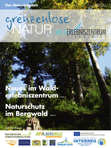 Naturschutz im Bergwald Seite 6 Neues im Wald