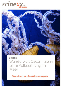 Wunderwelt Ozean - Zehn Jahre Volkszählung im Meer
