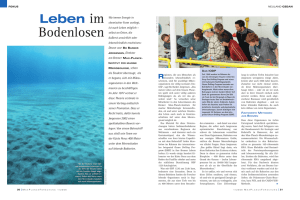 Leben im Bodenlosen - Max-Planck-Institut für Marine Mikrobiologie