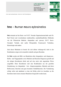 hnc – human neuro cybrainetics