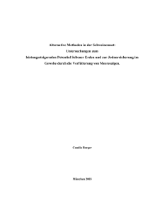 Borger_Dissertation