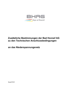 Zusätzliche Bestimmungen der Bad Honnef AG zu den Technischen