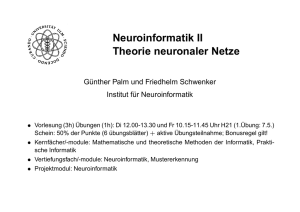 Neuroinformatik II Theorie neuronaler Netze