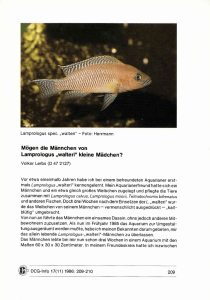 Mögen die Männchen von Lamprologus,,walteri" kleine Mädchen?