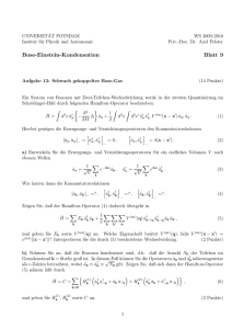 Bose-Einstein-Kondensation Blatt 9