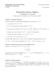 Numerische Lineare Algebra