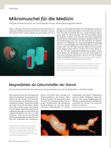Mikromuschel für die Medizin - Max-Planck