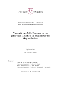 Numerik des 2D Transports von geladenen Teilchen in fluktuirenden