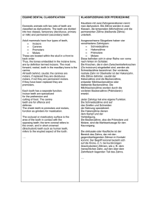 EQUINE DENTAL CLASSIFICATION Domestic animals with two sets