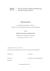 Bachelorarbeit - Digitale Bibliothek NB