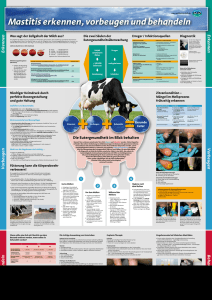 Die Eutergesundheit - Poster zum