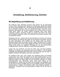 Umstellung, Zerkleinerung und Häufigkeit