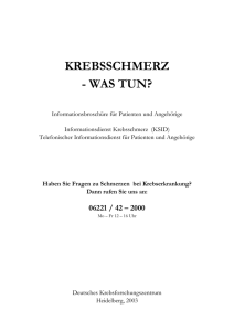 schmerzbroschuere | pdf