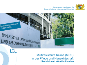 Präsentation Margit Fink-Heitz 662 KB