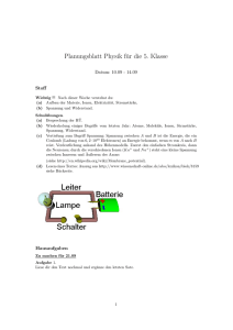 Planungsblatt Physik für die 5. Klasse