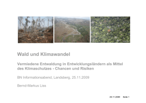 Wald und Klimawandel - Bund Naturschutz Landsberg