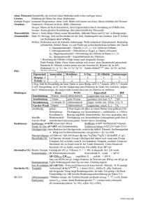 Prüfungsvorbereitung (pdf 122kB)