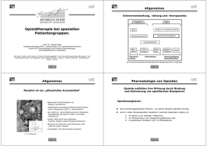 Fortbildungsvortrag Marienhospital Herne vom 13. März 2013