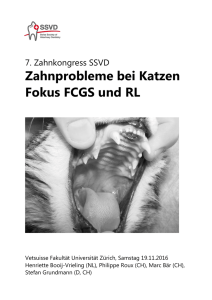 Zahnprobleme bei Katzen Fokus FCGS und RL