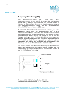 Infoblatt Messprinzip Wärmeleitung (WL), deutsch, 20.08.08