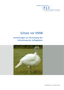 Schutz vor H5N8 Anmerkungen zur Vermeidung der Verbreitung der