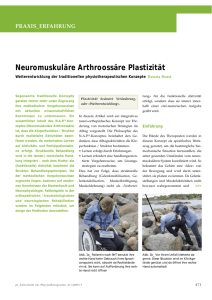 Fallbeispiel 2 Neuromuskuläre Arthroossäre Plastizität