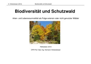Biodiversität und Schutzwald