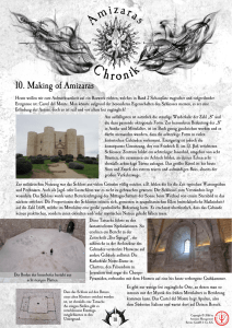 10. Making of Amizaras