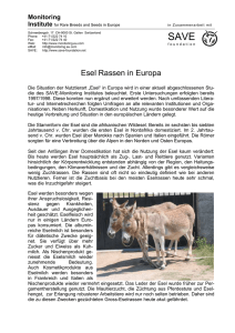 Esel Rassen in Europa - Agrobiodiversity-Net