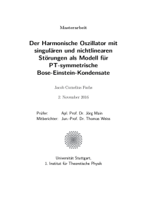 1M - Institut f&uuml;r Theoretische Physik