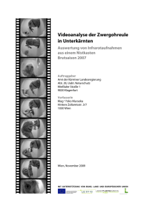 Videoanalyse der Zwergohreule in Unterkärnten, Brutsaison 2007