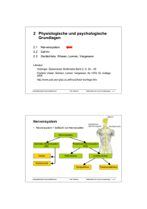 2 Physiologische und psychologische Grundlagen