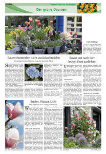 Landshuter Zeitung 04.04.2013