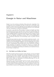 NTS Kapitel 6: Energie in Natur und Maschinen