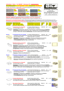 downloaden. - BILZ Ziermauer-Fix, Granit