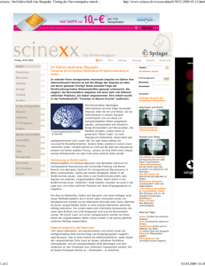 scinexx | Im Gehirn l&auml;uft e