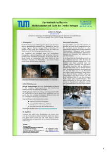 Poster_Fuchsraeude_Janko2011 - Arbeitsgruppe Wildbiologie und