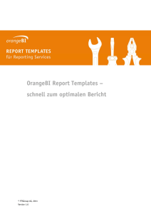 OrangeBI Report Templates – schnell zum optimalen Bericht