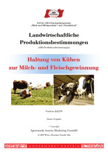 Haltung von Kühen zur Milch- und Fleischgewinnung