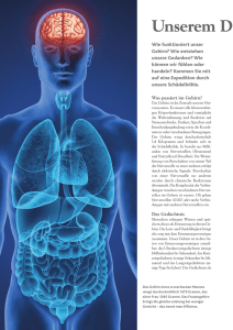 Unserem Denkapparat auf der Spur