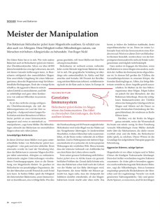 Meister der Manipulation