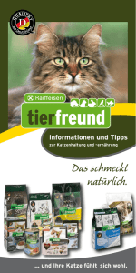 tierfreund ® Flyer Katze