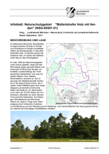 Infoblatt: Naturschutzgebiet "Mallertshofer Holz mit Hei