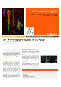 VIP - Very Important neurons in any Person