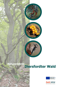 Naturerlebnis Diersfordter Wald - Biologische Station im Kreis Wesel